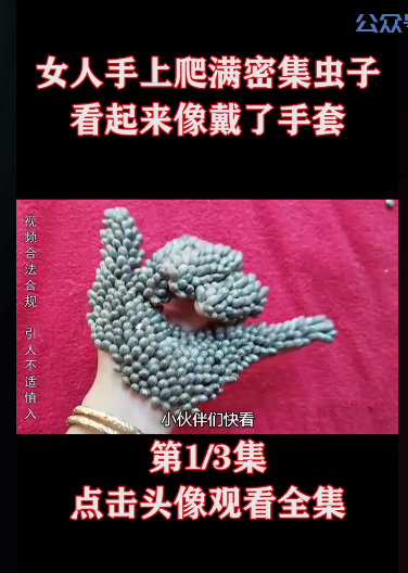 副业首选，抓住短视频剪辑风口