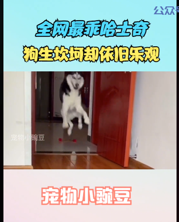 副业首选，抓住短视频剪辑风口
