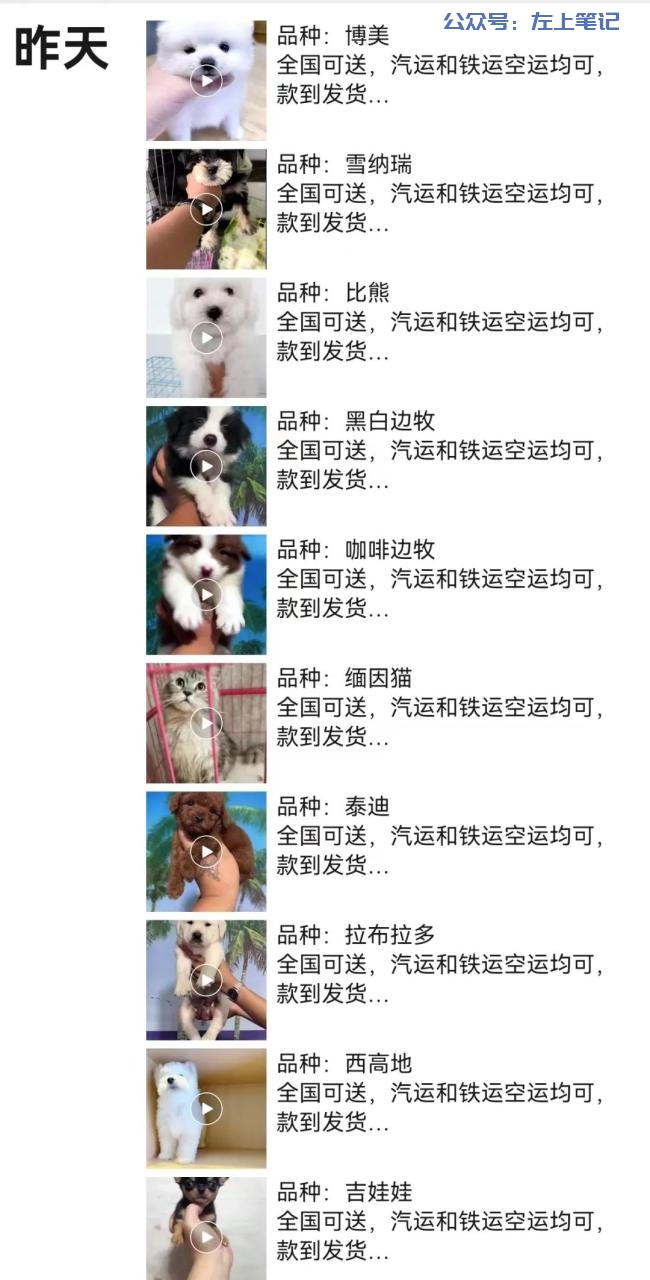 小红书宠物赛道，月入6000+