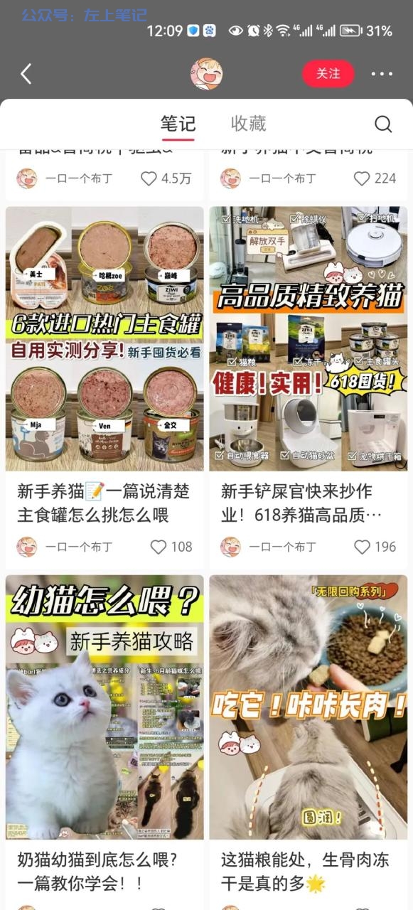 小红书宠物赛道，月入6000+