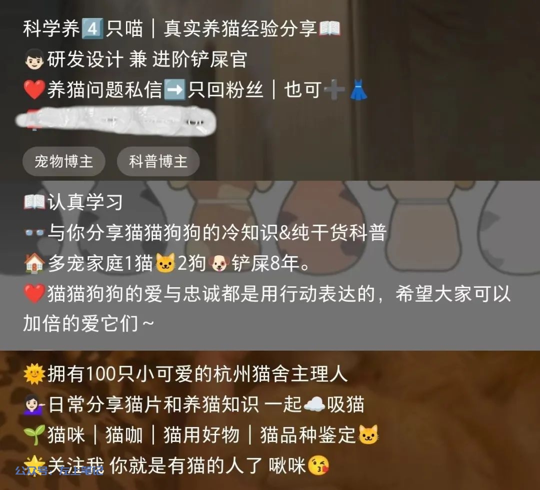 小红书宠物赛道，月入6000+