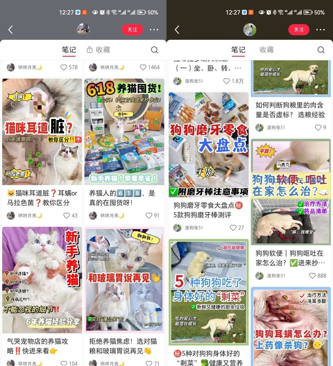 小红书宠物赛道，月入6000+