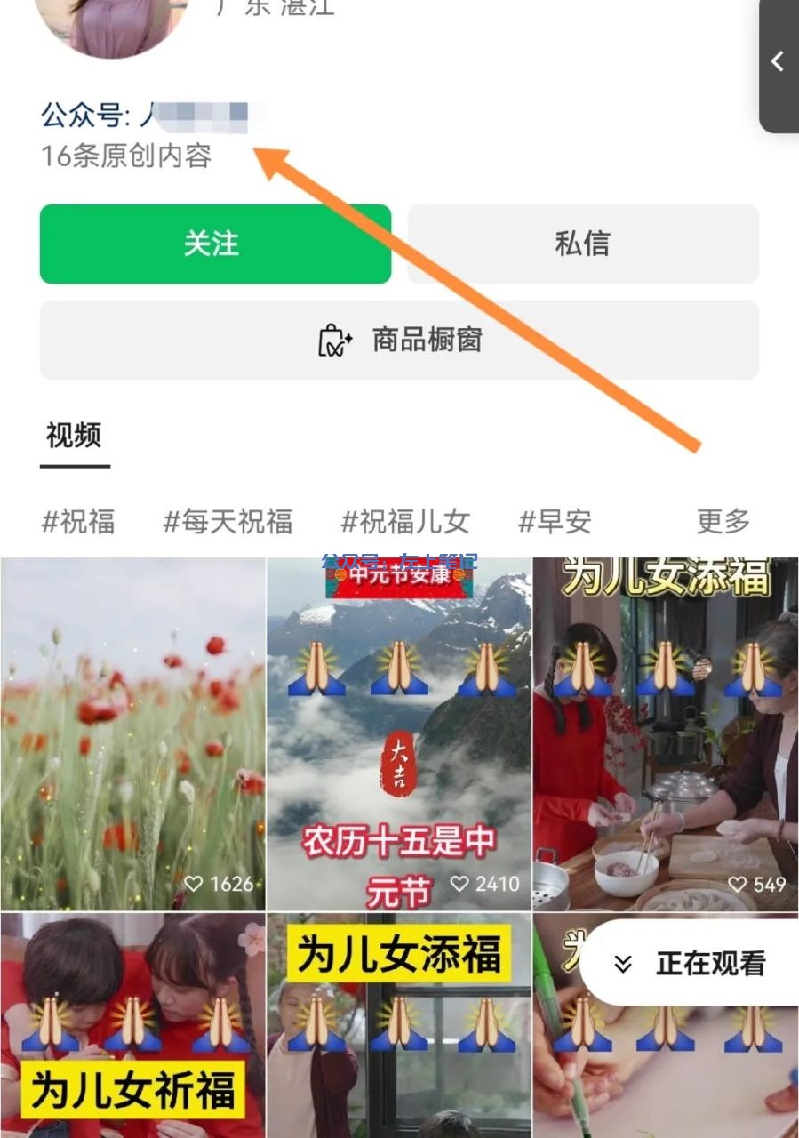 银发经济风口，儿女祝福视频项目，流量猛